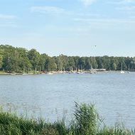 Lokal na wynajem